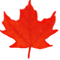 Red Shadowed Maple Leaf